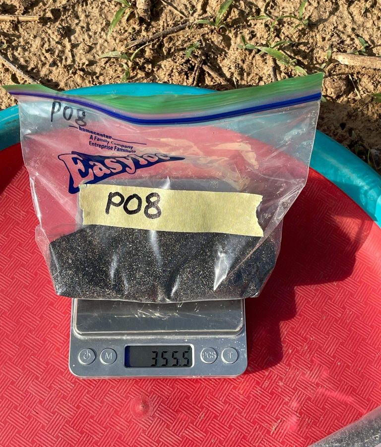 WhatsApp Image 2025-09-08 at 14.14.12_12a965f0